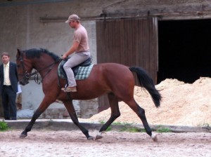 Obrazek